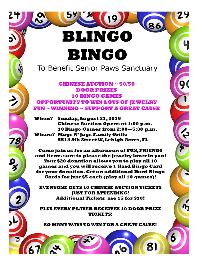 Blingo Bingo To Benefit Senior Paws Sanctuary