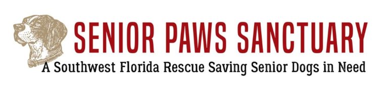 Senior Paws Program Senior Paws Sanctuary-SW Florida Senior Dog Rescue